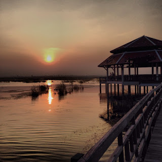 ภาพธรรมชาติยามเย็น, ธรรมชาติยามเย็น พรรณนา, ยามเย็น ดอกหญ้าริมทาง, ภาพยามค่ํา คืนสวยๆ, ภาพยามเย็นเหงาๆ, ยามเย็นๆตะเว็นกําลังรอนๆ, วิว ทะเล ยาม เย็น, ภาพทะเลตอนเย็น, รูป ทะเล ยาม ค่ำคืน