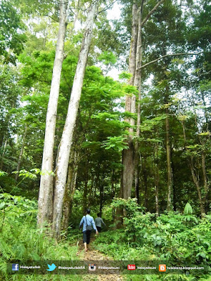 ceuraceu, kuala batee, abdya, wisata aceh, pesona alam aceh, air terjun