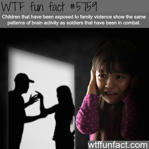 Interesting WTF Fun Facts That You Probably Didn't Know
