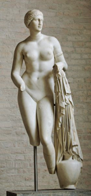 Venus Braschi