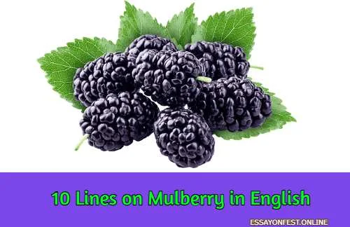10 Lines on Mulberry in English