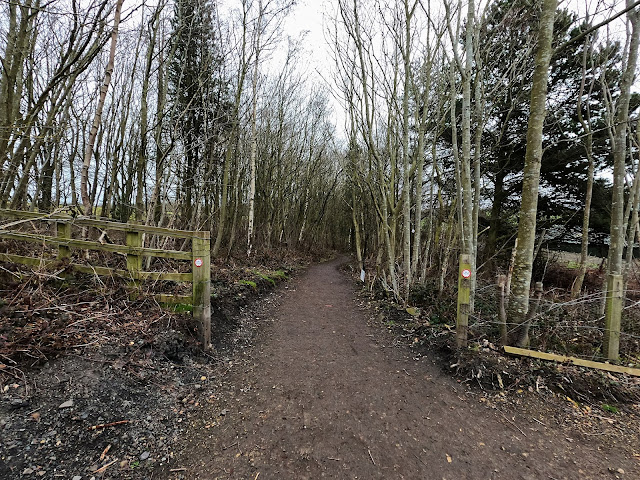 East Tanfield Railway