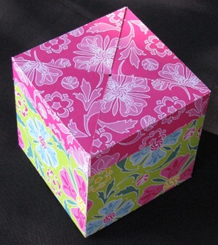 2011 02 13 LRoberts Cupcake Box Green Closed 2011 02 13 LRoberts Cupcake Box Green Closed