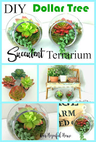 succulent terrarium diy houseplant faux plant