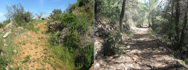 ROCA FORADADA - SALT DEL MISERI - FONDO DEL SETRILL - URBANITZACIÓ EL PRIORAT DE LA BISBAL DEL PENEDÈS, Camí del Cirerol a La Bisbal del Penedès