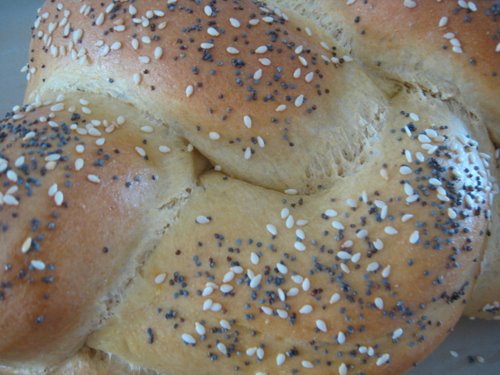 Italian peasant bread recipes