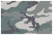 Camo Visa prepaid cards from CARD.com