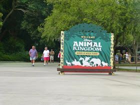 séjour à Animal Kingdom Orlando