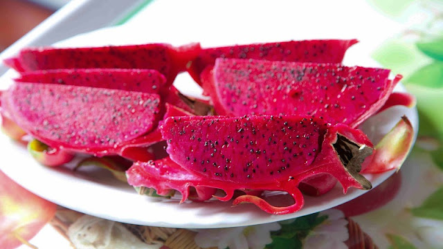 Dragon fruit – A wonderful “fire ball” 4