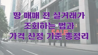 땅 매매 전 실거래가 조회하는 법과 가격 산정 기준 총정리