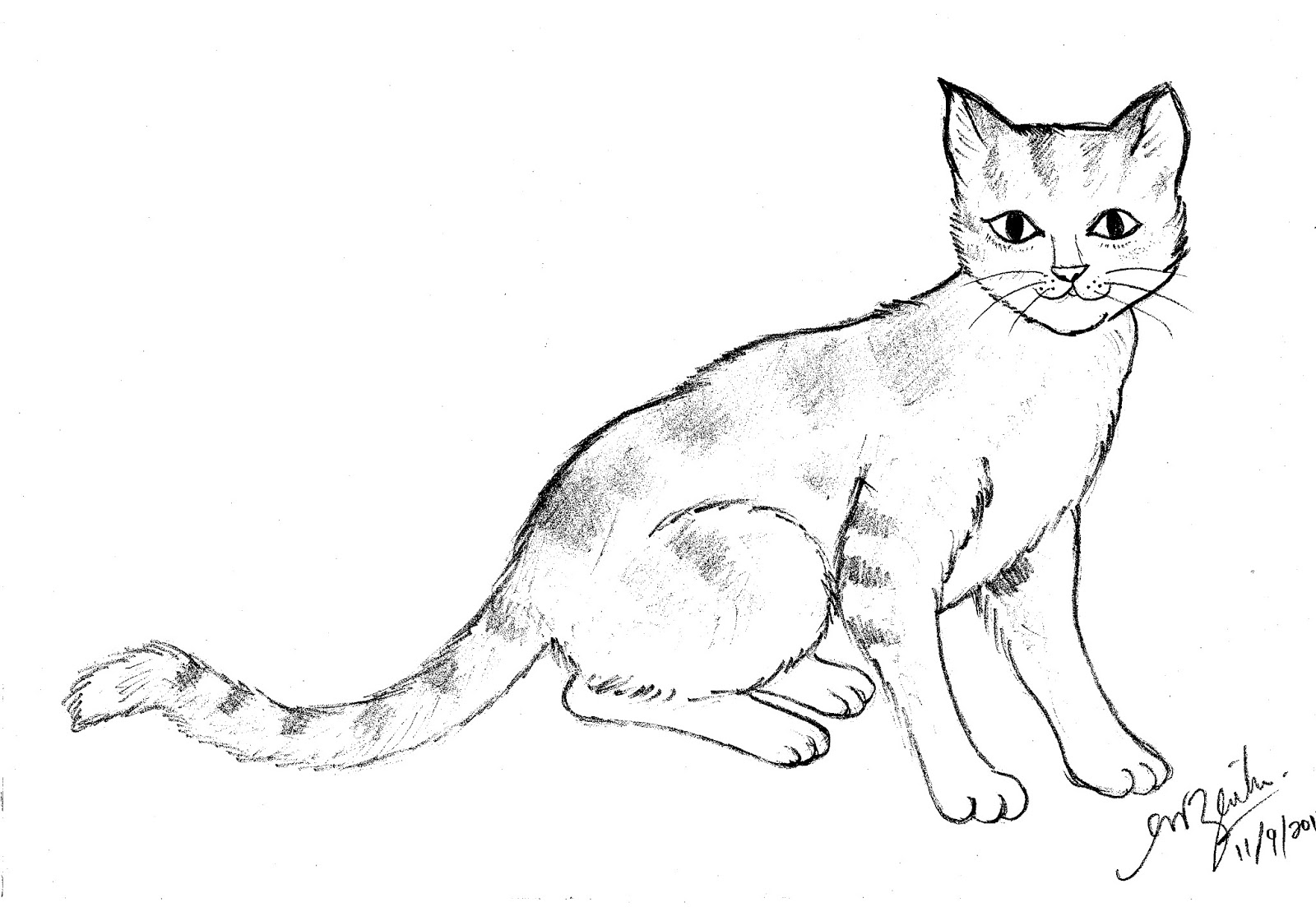 73 Gambar 2 Dimensi Kucing Kekinian Gambar Pixabay