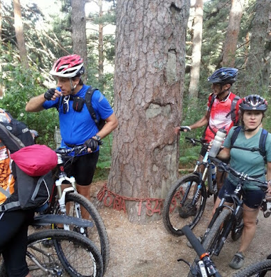 MTB por Cercedilla y Camorritos - AlfonsoyAmigos