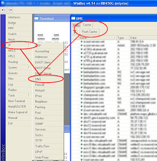 Pengertian Fungsi Dan Cara Flush DNS Cache