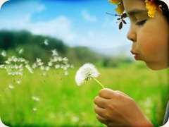 funny_wallpapers_creative_wallpaper_dandelion_014644_