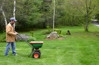 How to Reseed Your Lawn