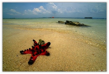 Pulau yang Muncul di Siang Hari dan Tenggelam di Malam Hari