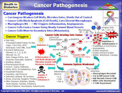 Cancer Pathogenesis