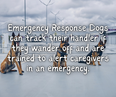 Emergency Response Dogs can track their handler if they wander off and are trained to alert caregivers in an emergency.