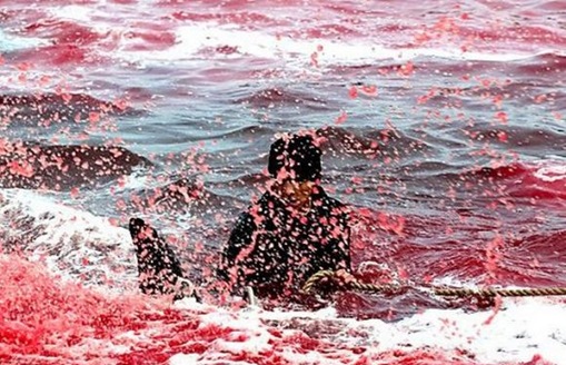 Brutality as a Ceremonial Act  disturbing images