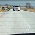 بالفيديو : | في لحضة رعب وحيد القرن يهاجم سيارة سياح 