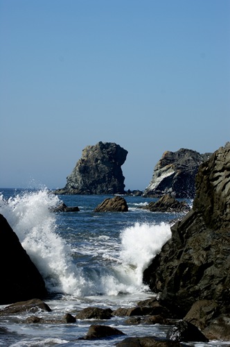DSC01572