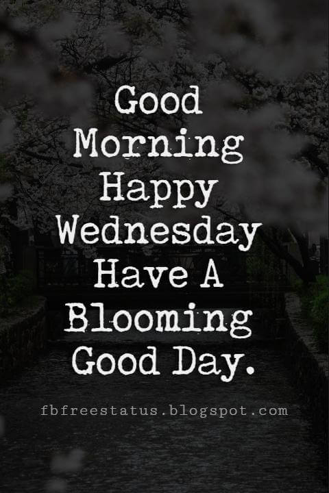 Happy Wednesday Pictures, Good Morning Happy Wednesday Have A Blooming Good Day.