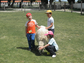 En la granja