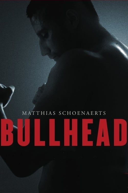 [HD] Bullhead 2011 Ver Online Subtitulada