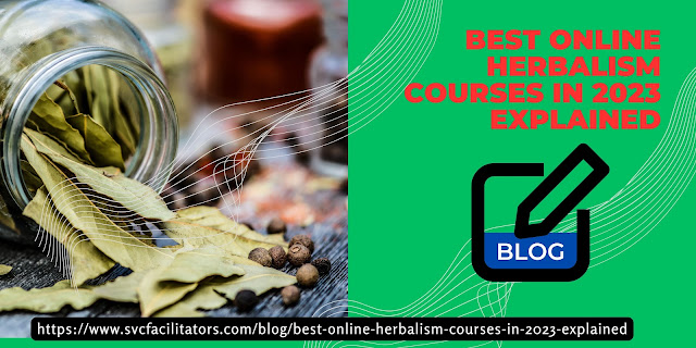 Best Online Herbalism Courses in 2023 Explained