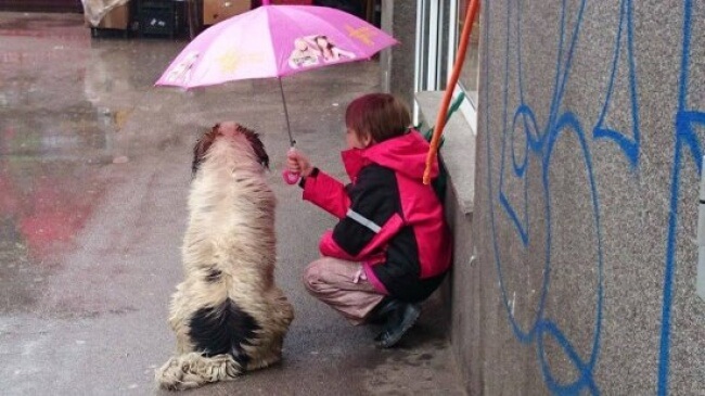 16 Pictures Of Children Restored Our Faith In Humanity - Thumbs up for this little boy who made space for the stray dog under his tiny umbrella.