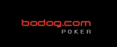 bodog-logo