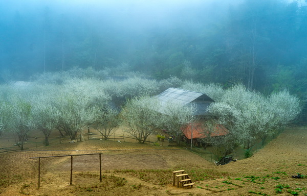 Photo by Hùng Nguyễn