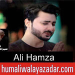 https://www.humaliwalayazadar.com/2017/01/ali-hamza-nohay-2016-to-2018.html