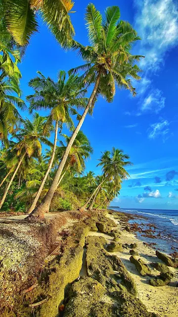 Papel de Parede Natureza Ilha Tropical