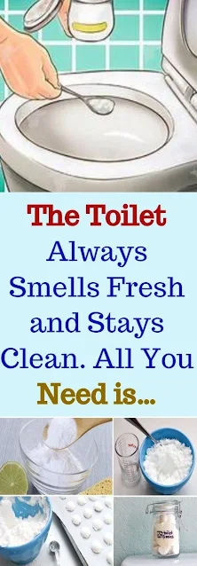 The Toilet Always Smells Fresh And Stays Clean. All You Need Is This