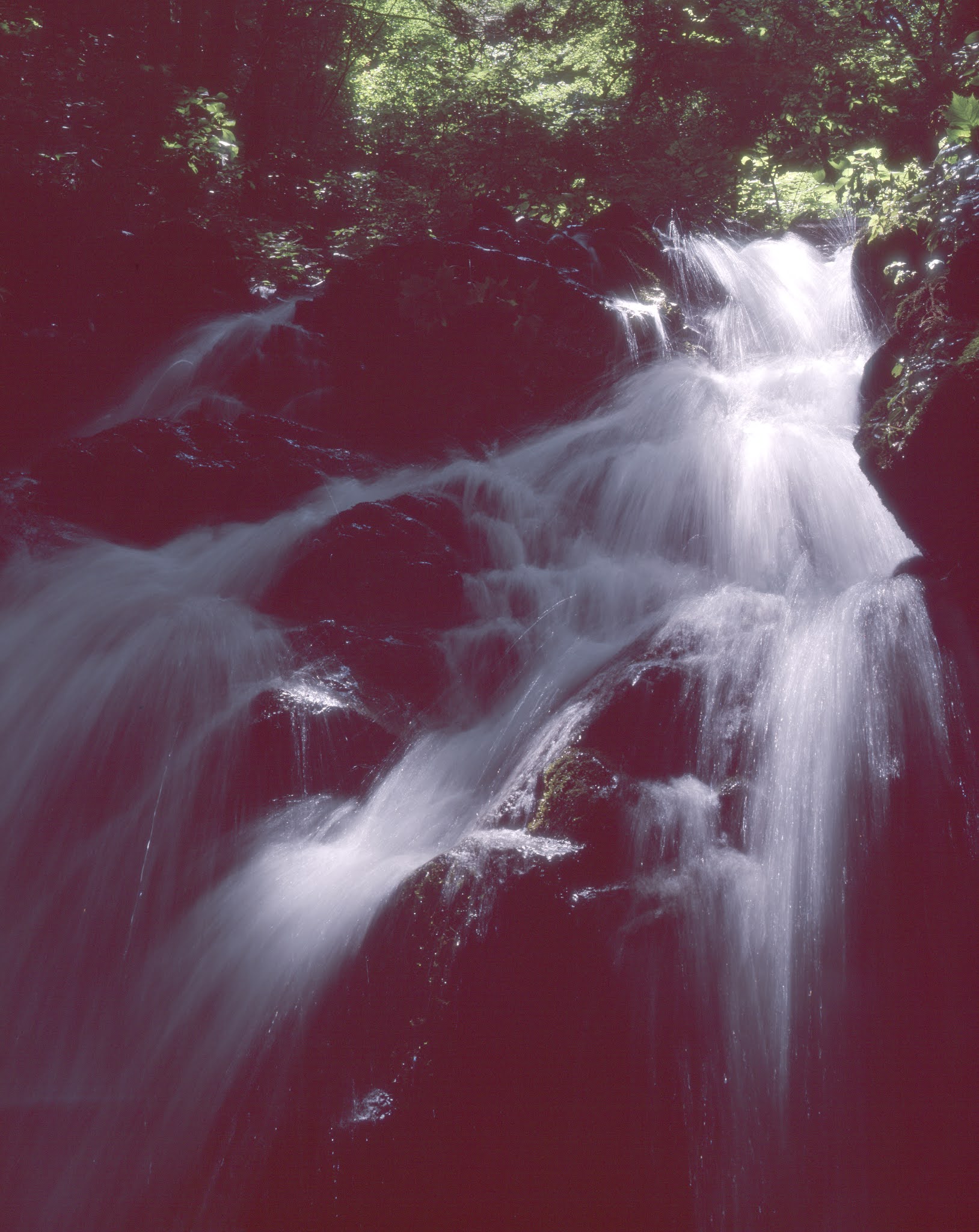 大判カメラ　滝