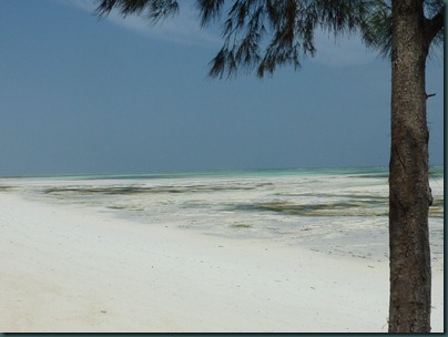 Zanzibar 196
