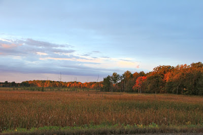 autumn beauty, a gift of the earth