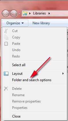 Folder and search options