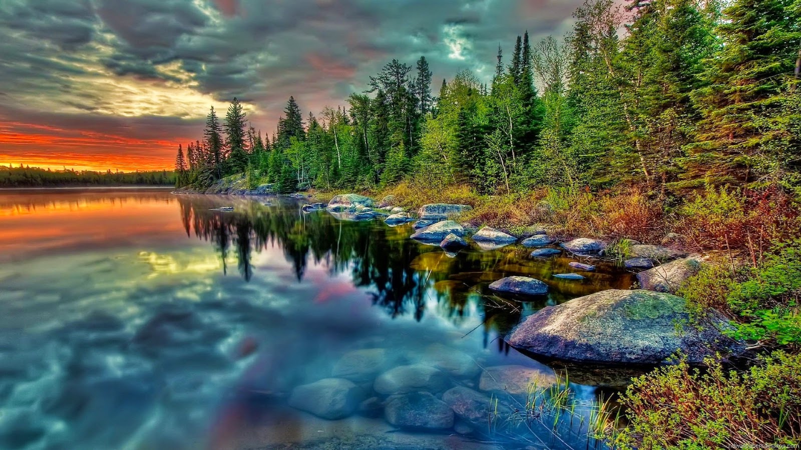 Beautiful Nature Wallpaper for Your Desktop