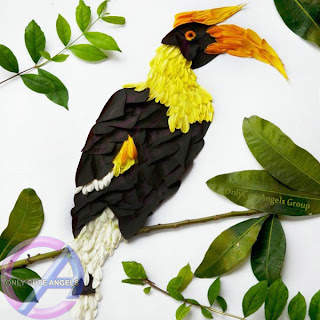 Exotic_Flower_Birds