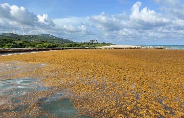 República Dominicana ocupa el lugar 89 de 180 países en ranking de desempeño ambiental