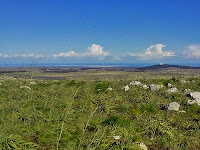 Panorama murgiano