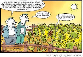 Erdil Yaşaroğlu Karikatürleri