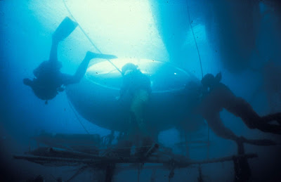 maison de kiki sous la mer gardette rougerie hippocampe noel cousteau galathée