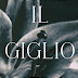 Esce oggi #thriller IL GIGLIO NERO di Roberta Puglielli