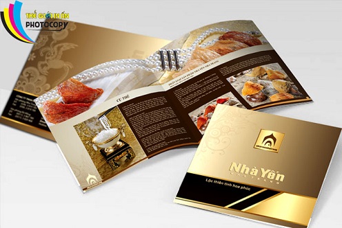 Mẫu in catalogue đẹp