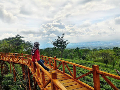 Bukit Kuneer Malang