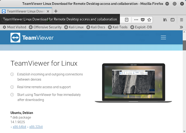 Kali Linux, TeamViewer