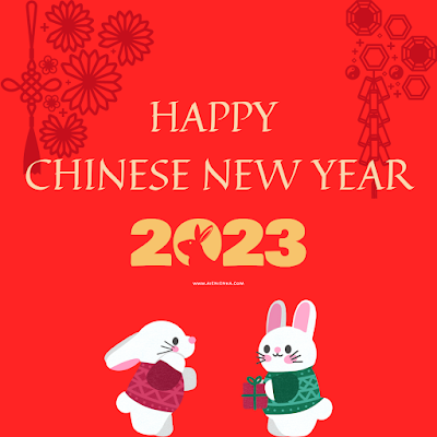 Chinese New Year Bunny Year
